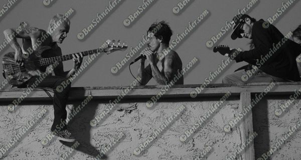 The Red Hot Chili Peppers